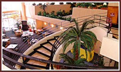 Orlando Hotels Main Lobby